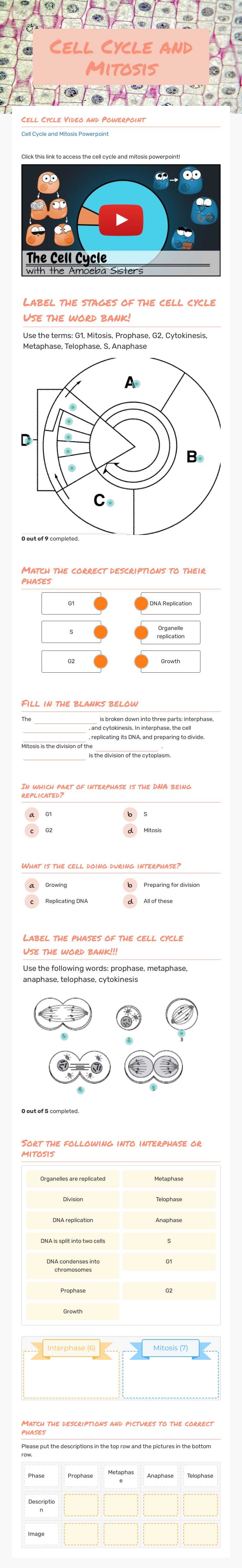 Cell Cycle and  Mitosis Grade 9 worksheet preview