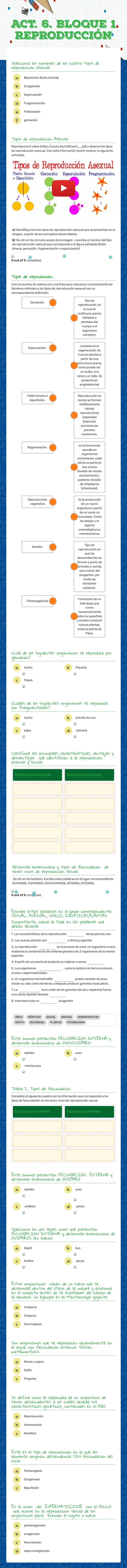 Act. 6. Bloque 1 REPRODUCCIÓN worksheet preview image