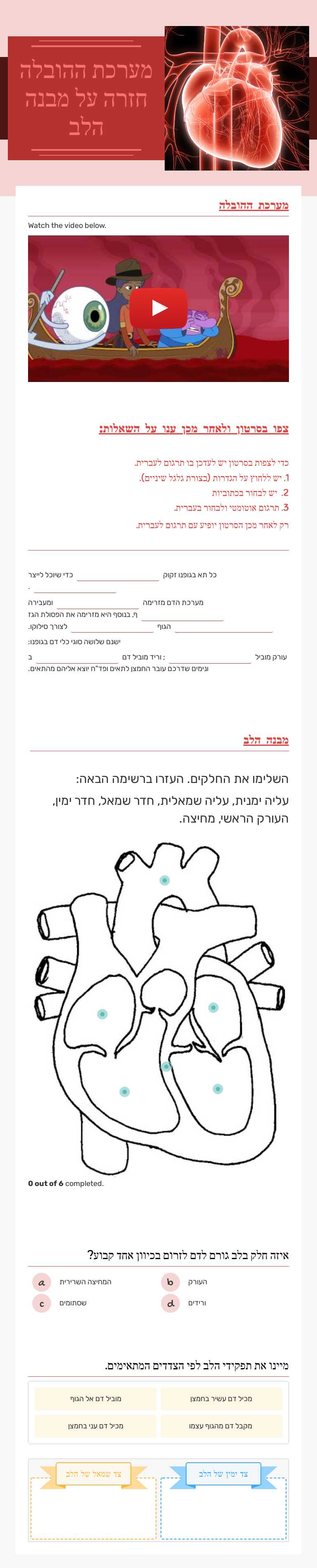 מערכת ההובלה 
חזרה על מבנה הלב worksheet preview image