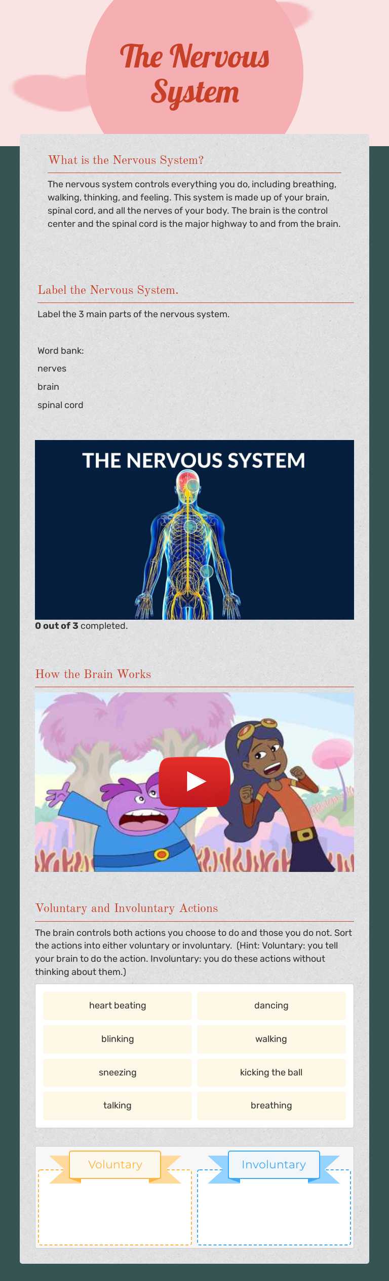 The Nervous System Grade 4 worksheet preview
