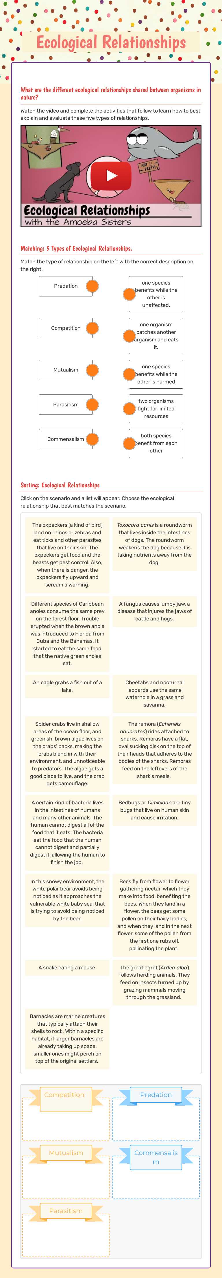 Ecological Relationships worksheet preview image