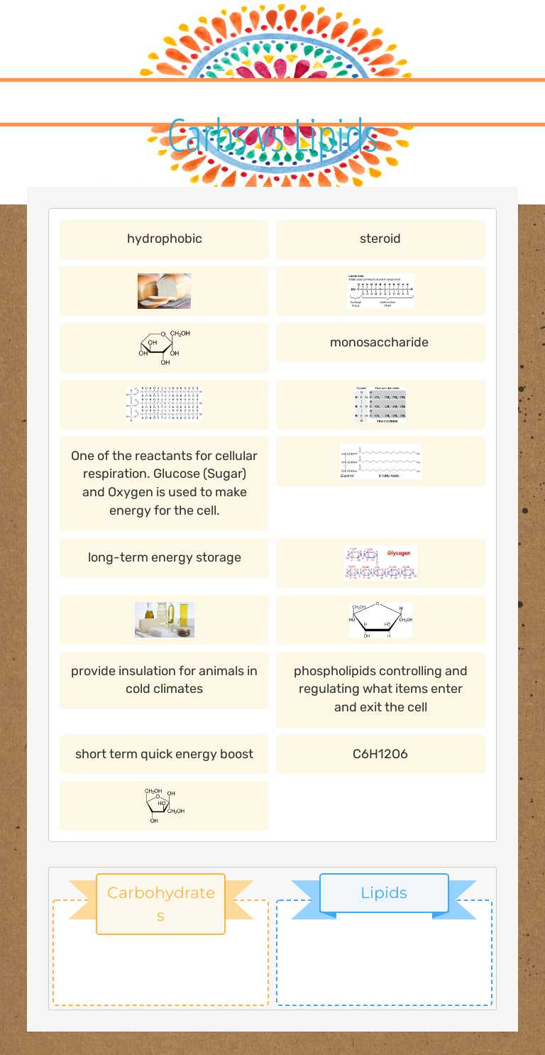 Carbs vs Lipids worksheet preview image