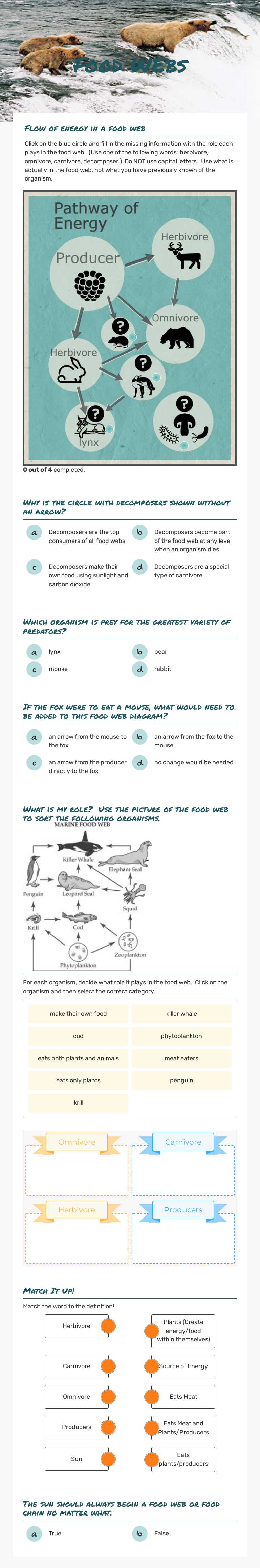 Food WEbs Grade 5 worksheet preview