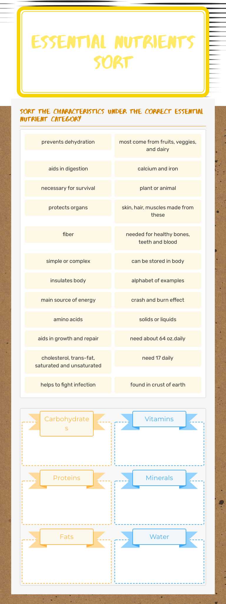 Essential Nutrients sort worksheet preview image
