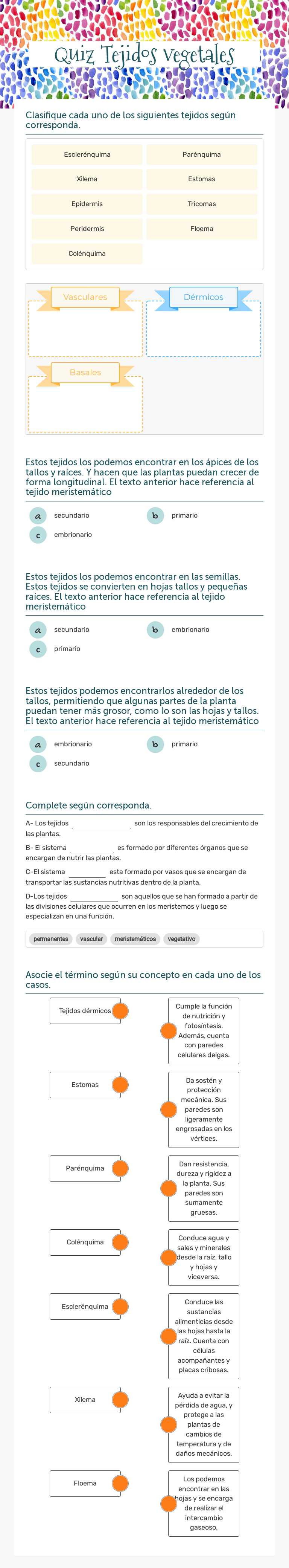 Quiz Tejidos vegetales worksheet preview image