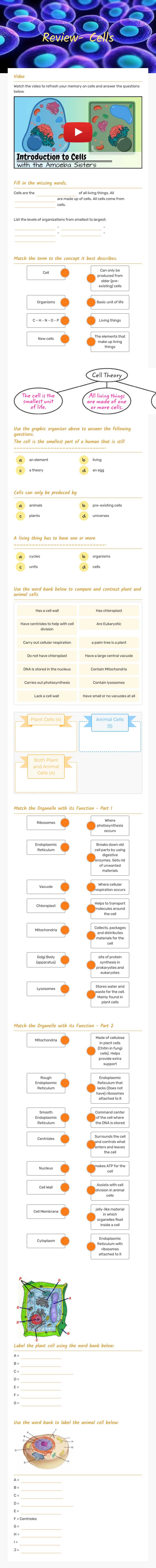 Review- Cells worksheet preview image