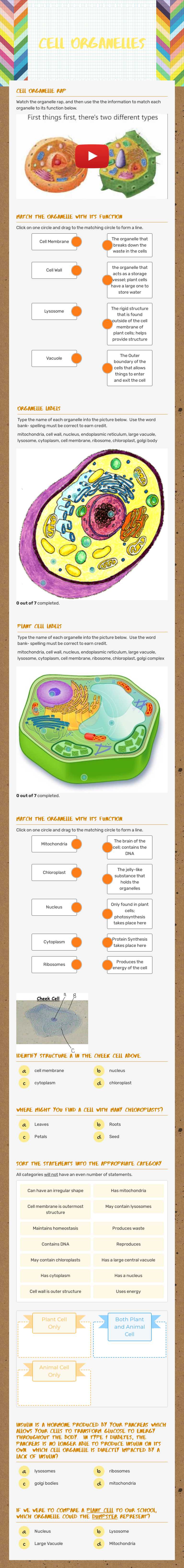Cell Organelles worksheet preview image
