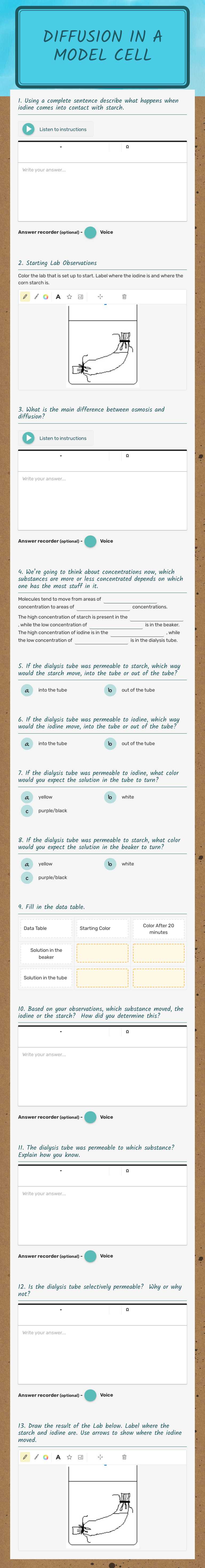 Diffusion in a model cell worksheet preview image