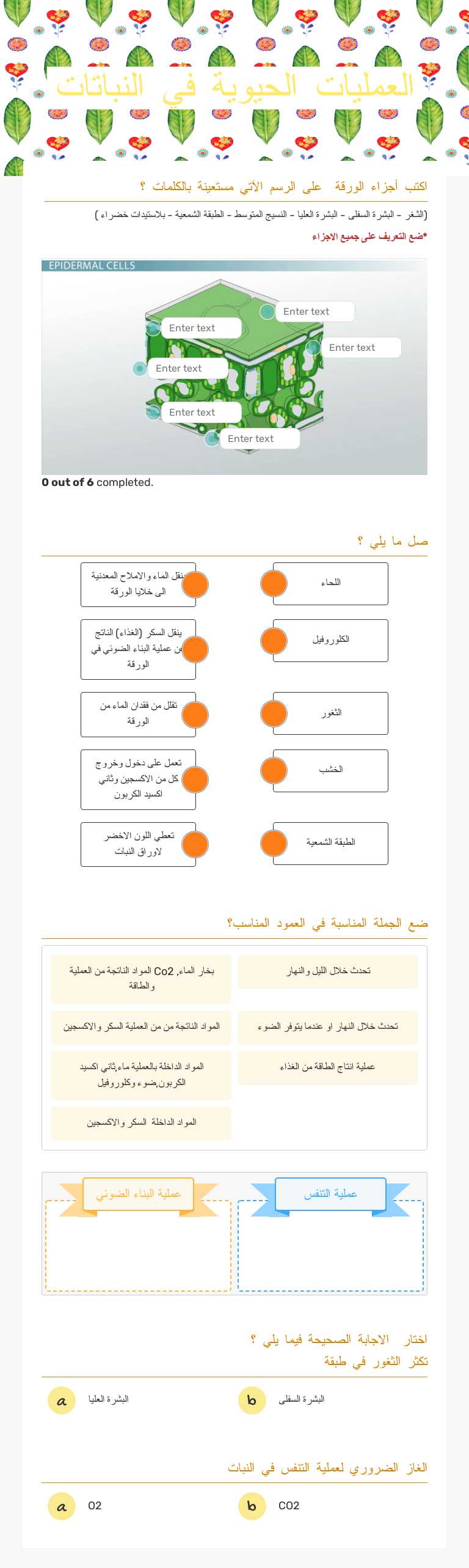 العمليات الحيوية في النباتات worksheet preview image
