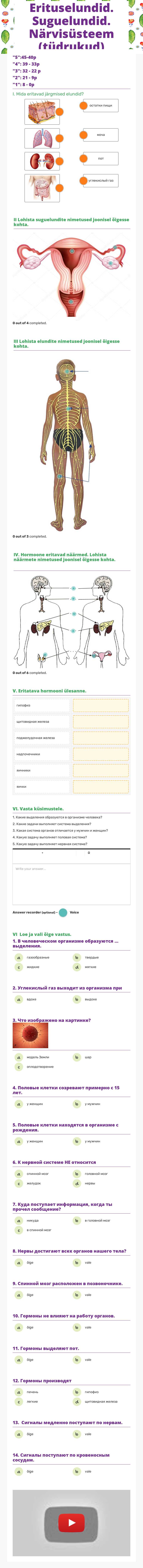 Erituselundid. Suguelundid. Närvisüsteem (tüdrukud) worksheet preview image