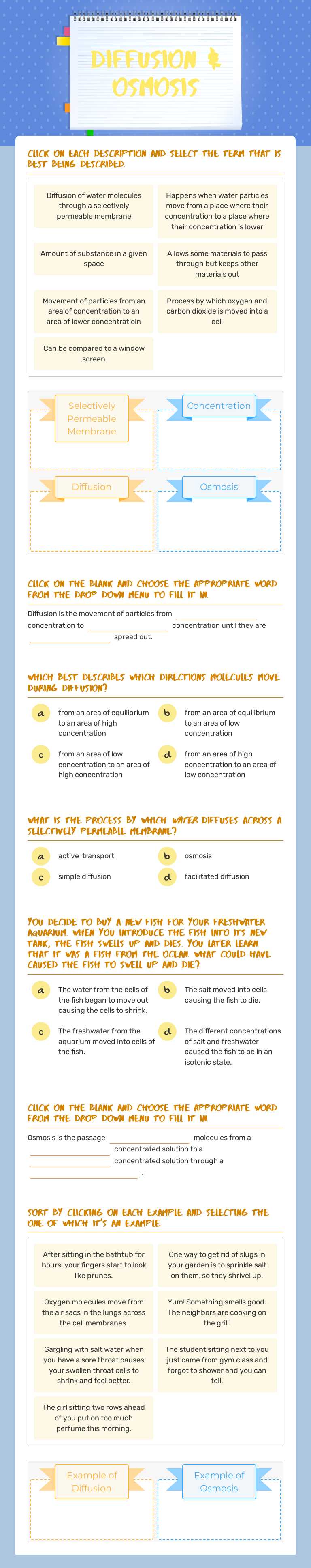 Diffusion & Osmosis worksheet preview image