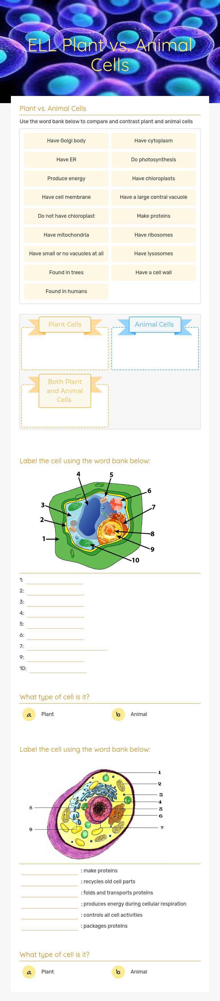 ELL Plant vs. Animal Cells by Alina Pankova | Interactive Worksheet ...