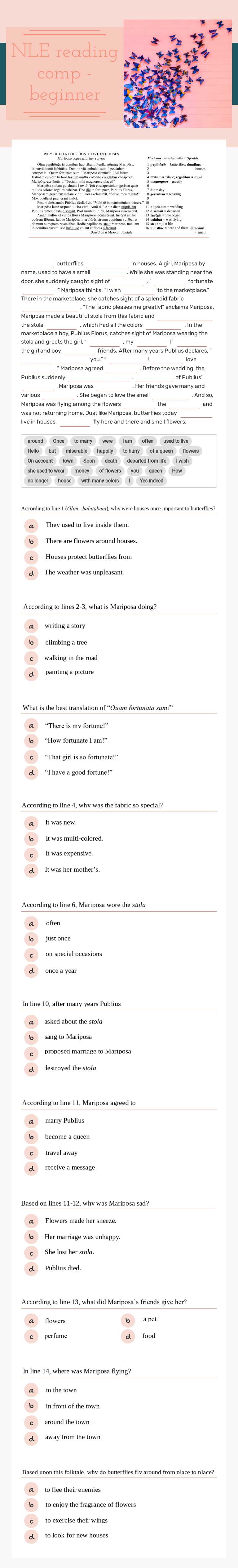 NLE reading comp - beginner worksheet preview image