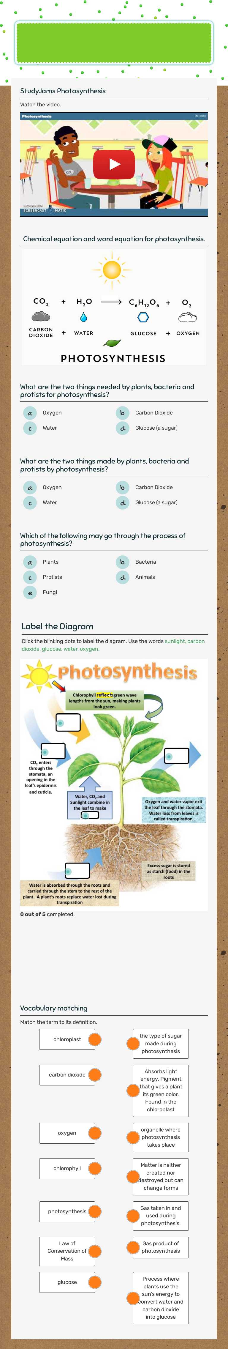 PHOTOSYNTHESIS Grade 6 worksheet preview