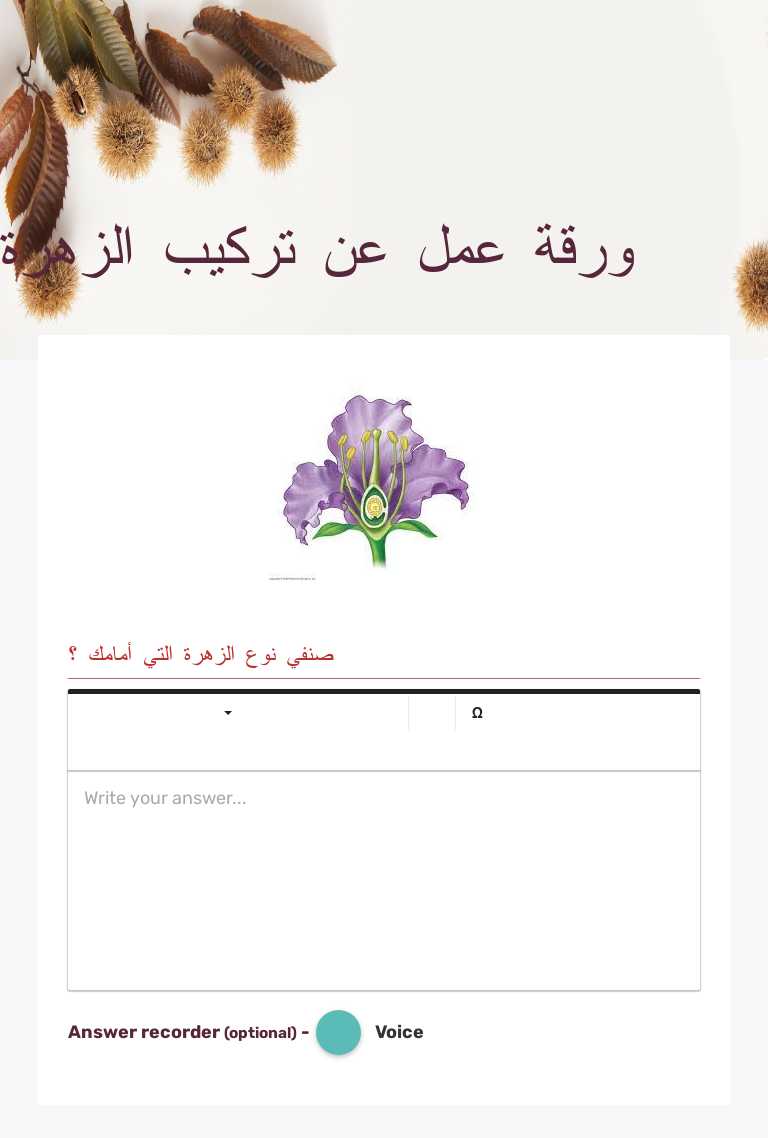 ورقة عمل عن تركيب الزهرة worksheet preview image