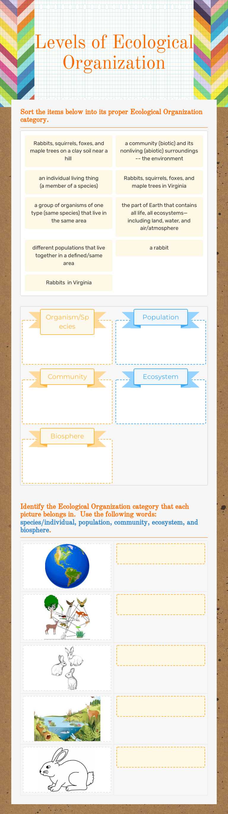 Levels of Ecological Organization worksheet preview image