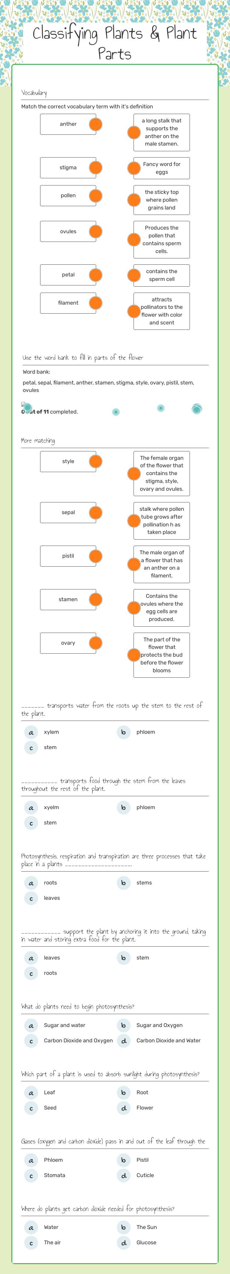 Classifying Plants & Plant Parts worksheet preview image