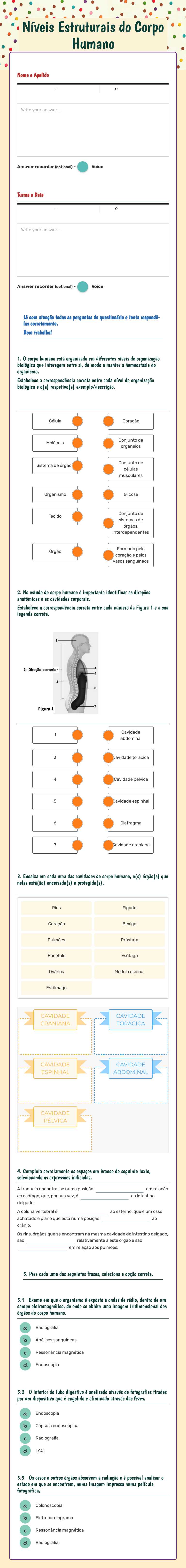 Níveis Estruturais do             
    Corpo Humano worksheet preview image