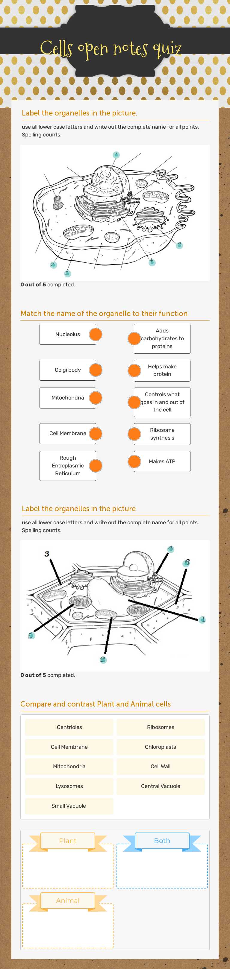 Cells open notes quiz worksheet preview image