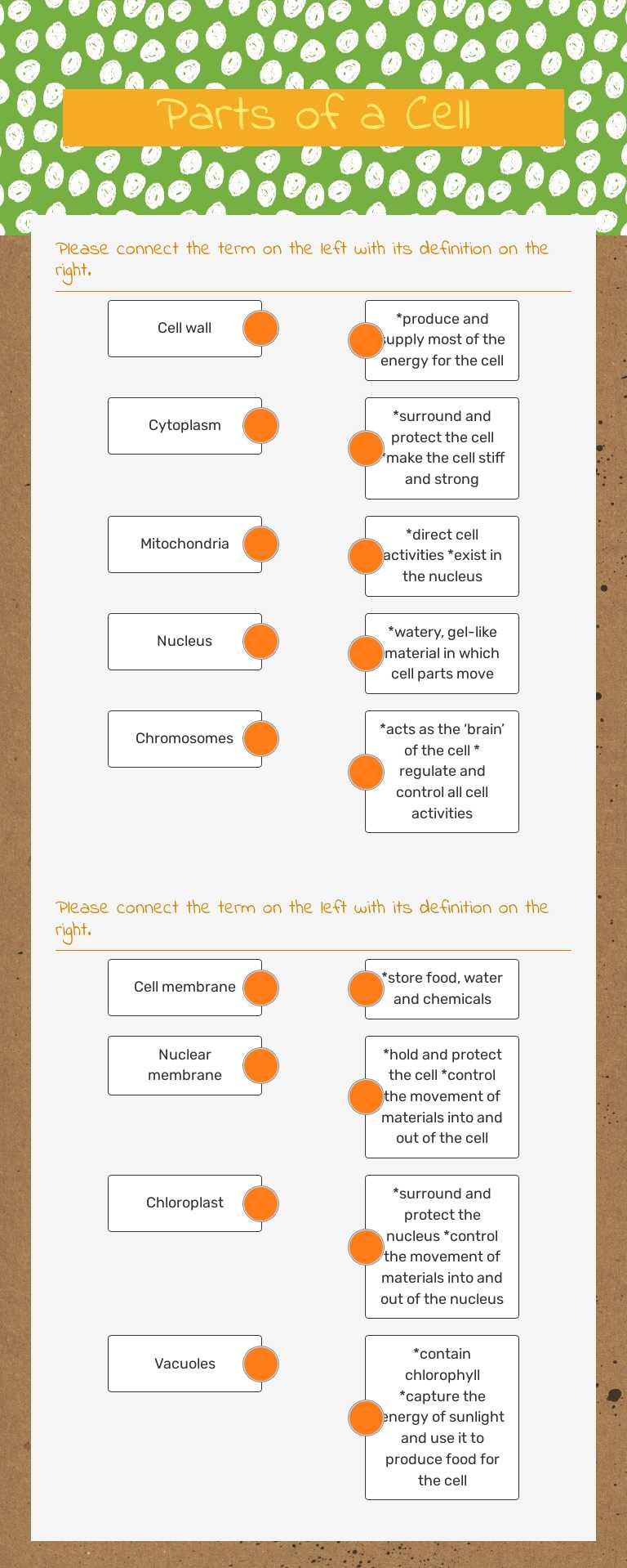 Parts of a Cell worksheet preview image