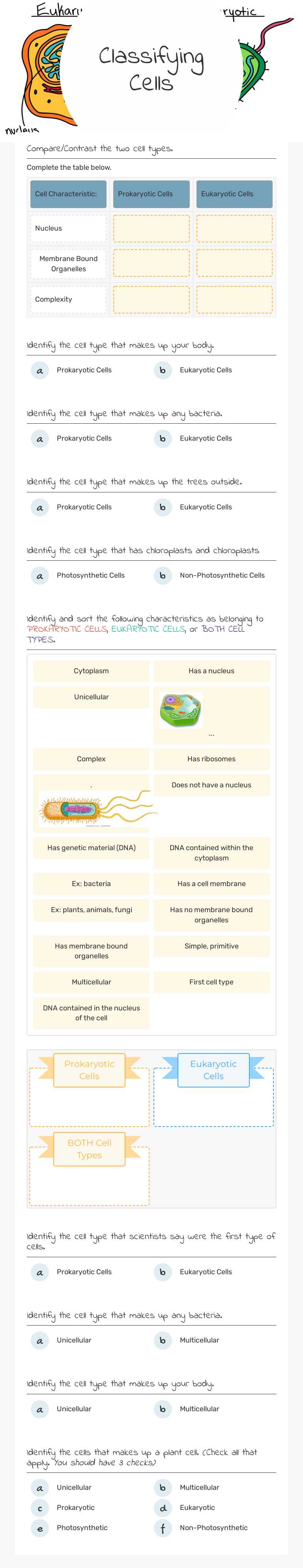 Classifying 
Cells worksheet preview image