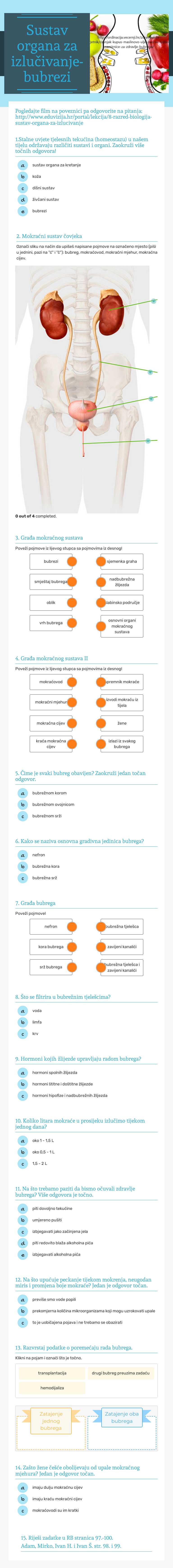 Sustav organa za izlučivanje-bubrezi worksheet preview image