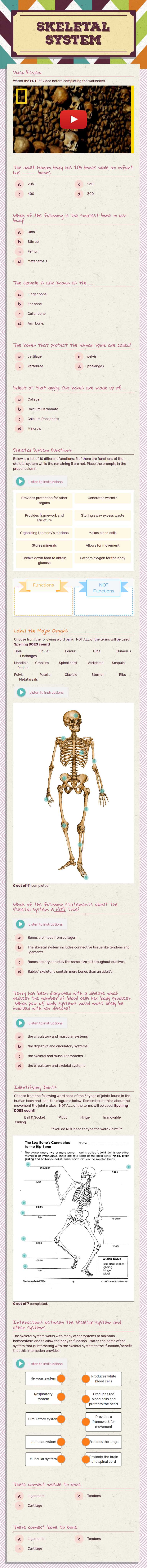 Skeletal System worksheet preview image