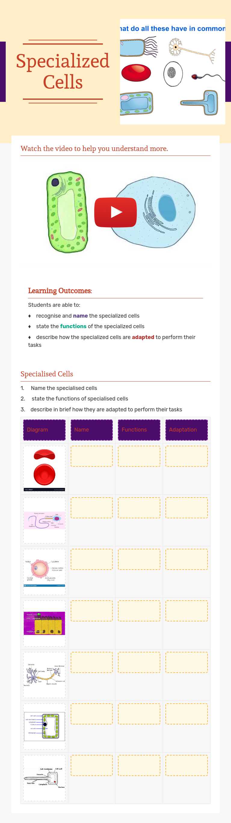 Specialized Cells worksheet preview image