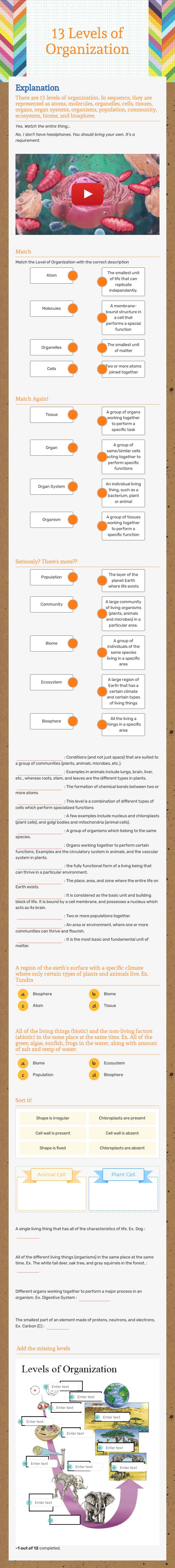 13 Levels of Organization Grade 7 worksheet preview