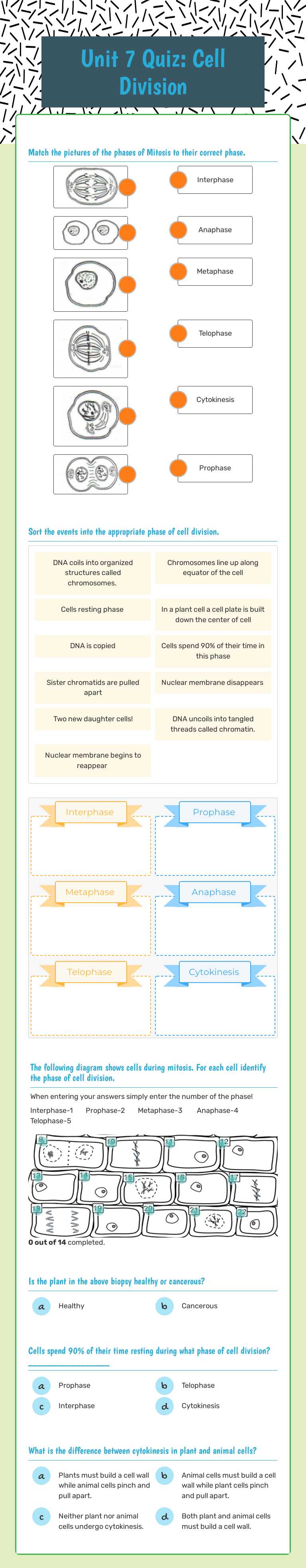 Unit 7 Quiz: Cell Division Grade 7 worksheet preview
