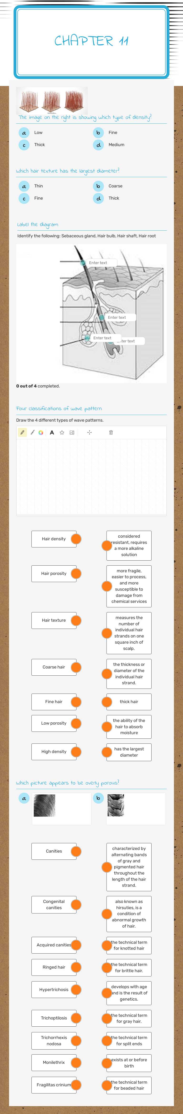 Chapter 11 worksheet preview image