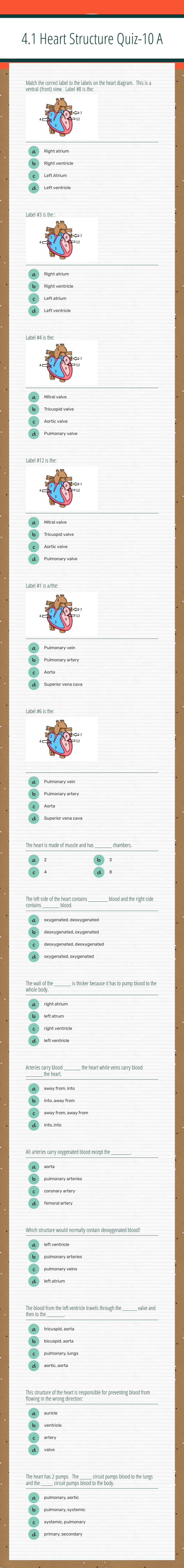 4.1 Heart Structure Quiz-10 A worksheet preview image