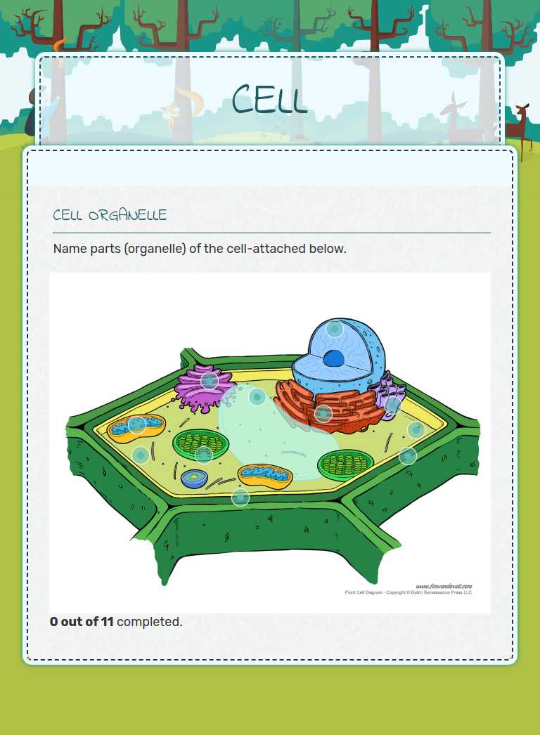 CELL worksheet preview image