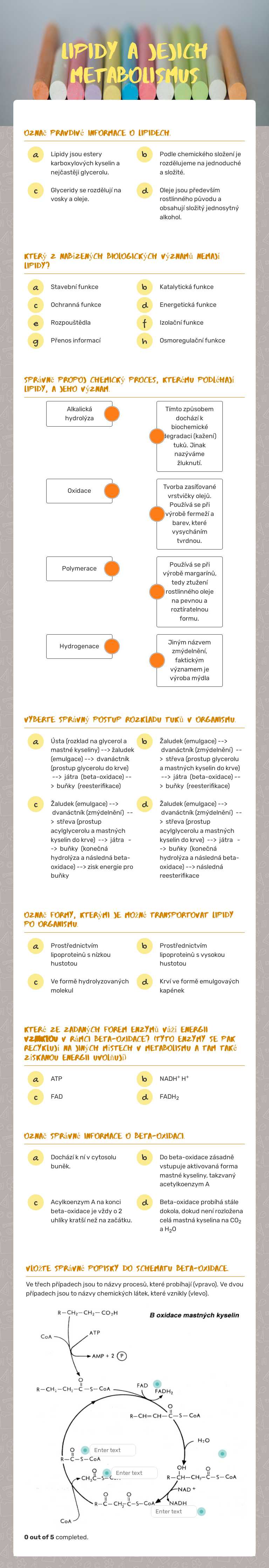 Lipidy a jejich metabolismus Grade 11 worksheet preview
