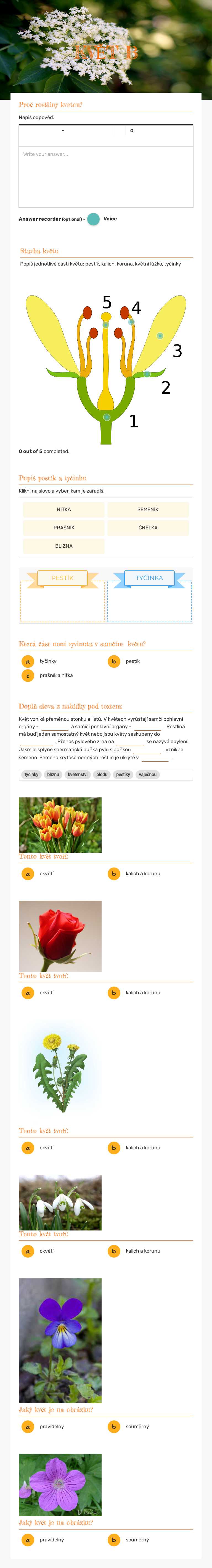 KVĚT B worksheet preview image
