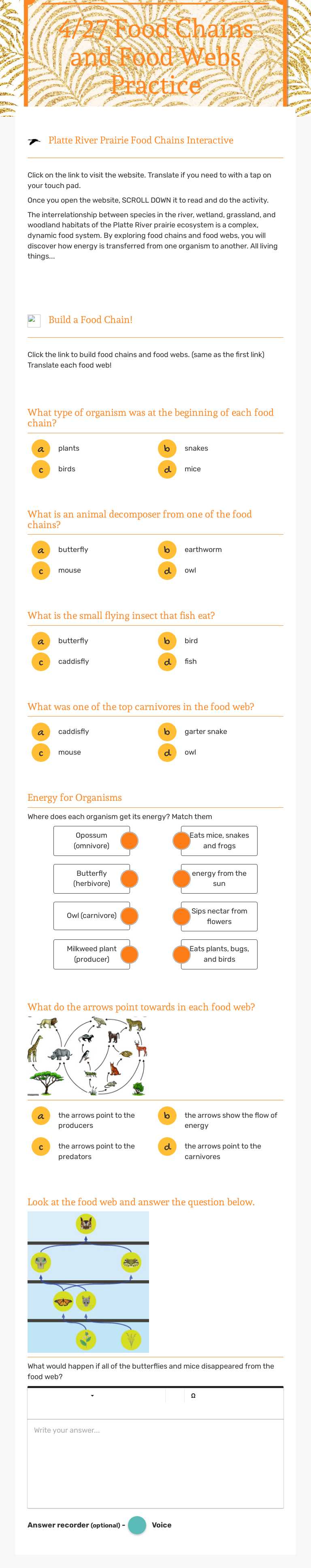 4/27 Food Chains and Food Webs Practice worksheet preview image
