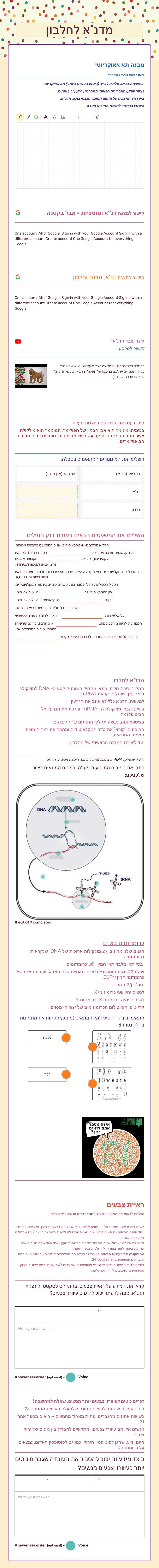 מדנ"א לחלבון worksheet preview image