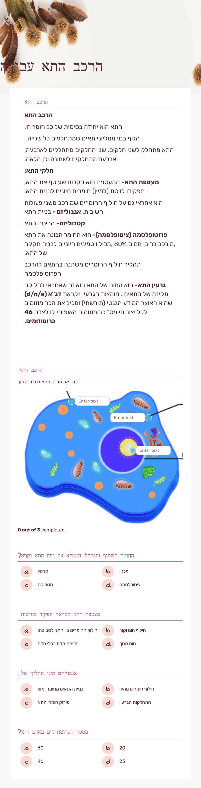 הרכב התא עבודה worksheet preview image