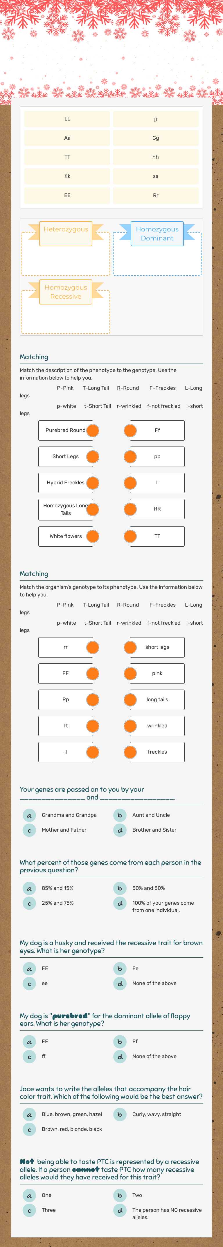 Genetics Vocabulary POP QUIZ! worksheet preview image