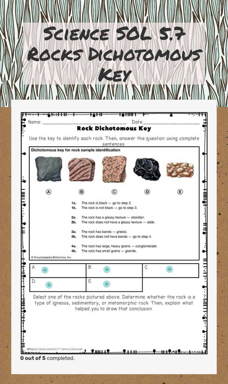 Science SOL 5.7 Rocks Dichotomous Key worksheet preview image