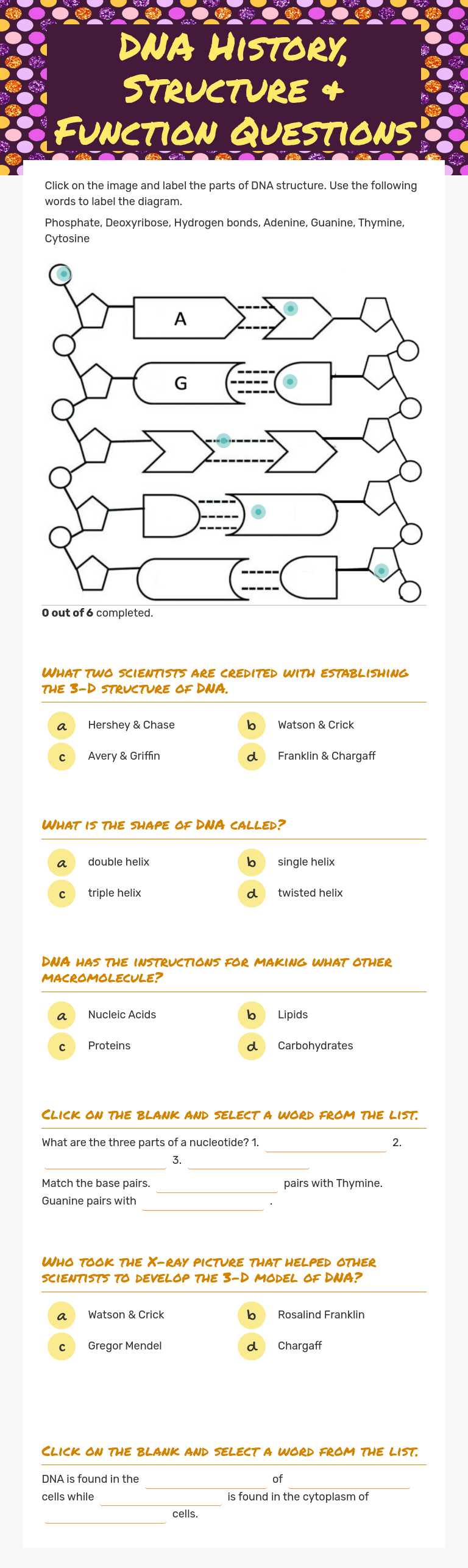 DNA History, Structure & Function Questions Grade 10 worksheet preview