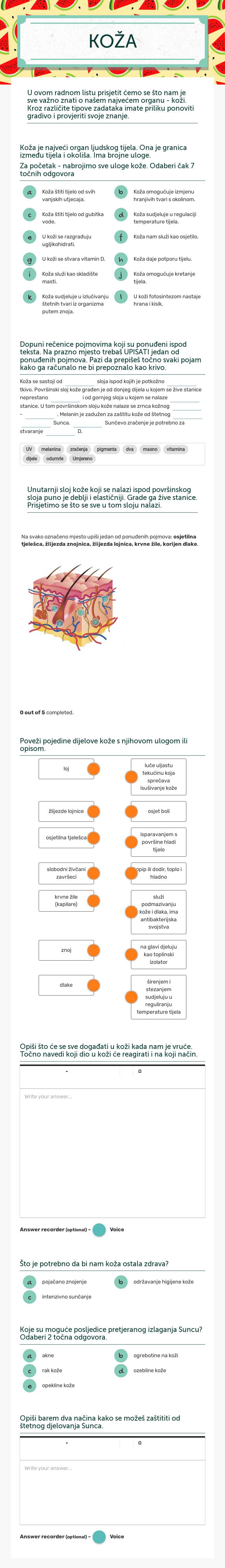 KOŽA worksheet preview image