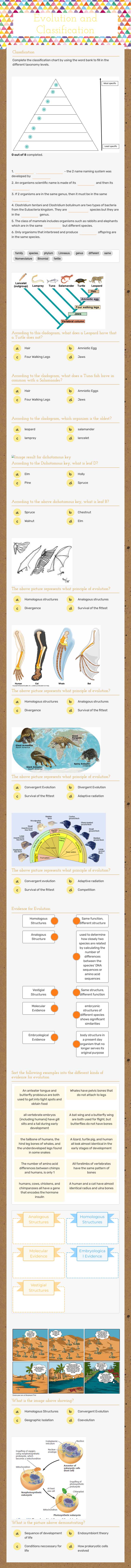 Evolution and Classification worksheet preview image
