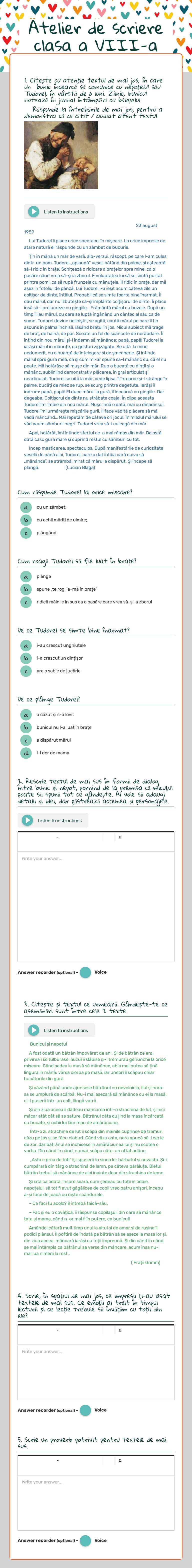 Atelier de scriere clasa a VIII-a Grade 8 worksheet preview
