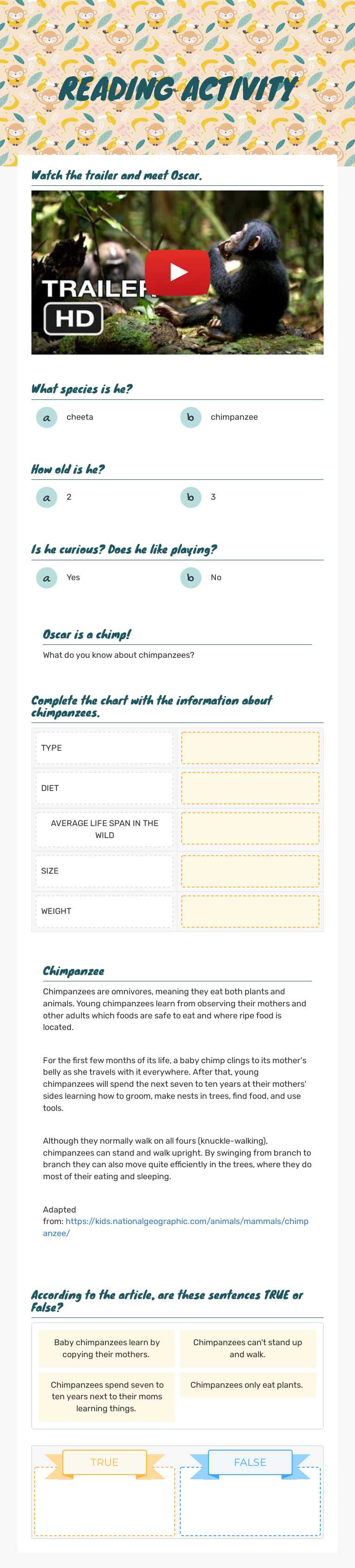 READING ACTIVITY Other worksheet preview