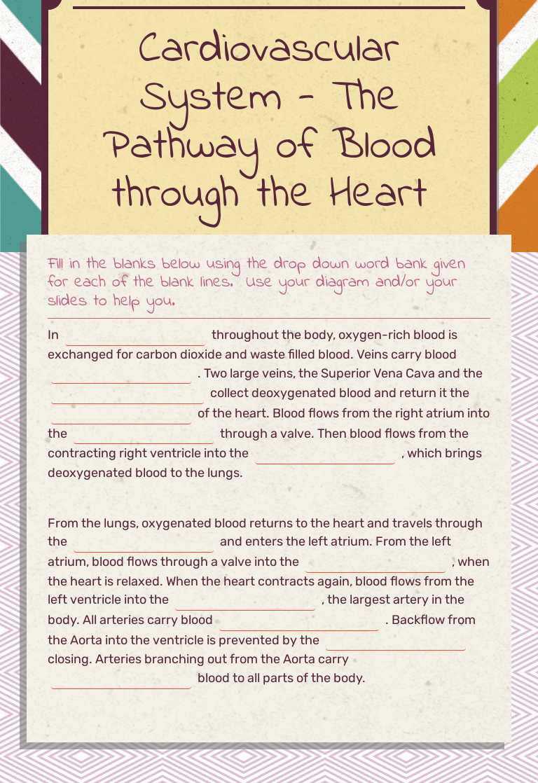 Cardiovascular System - The Pathway of Blood through the Heart worksheet preview image