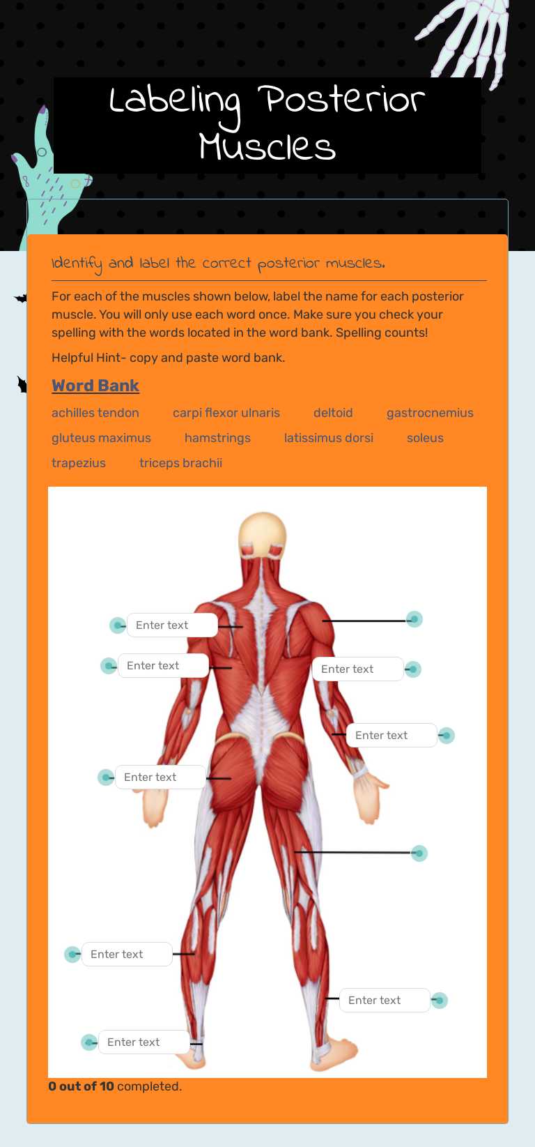 Labeling Posterior Muscles Grade 9 worksheet preview