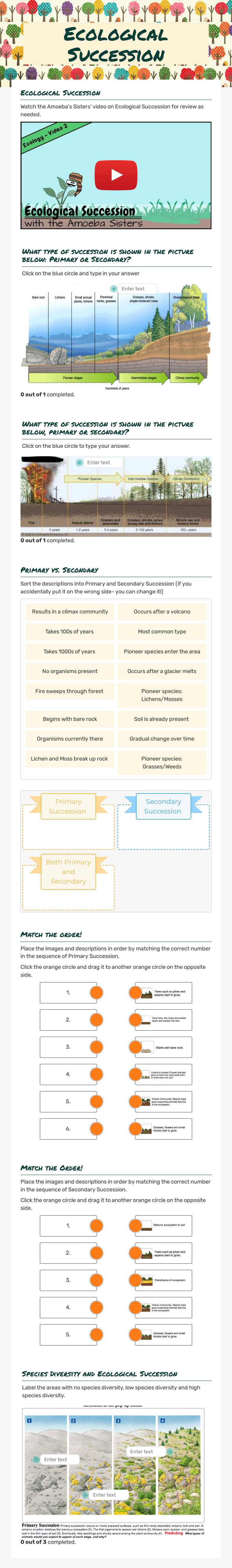 Ecological Succession Grade 10 worksheet preview