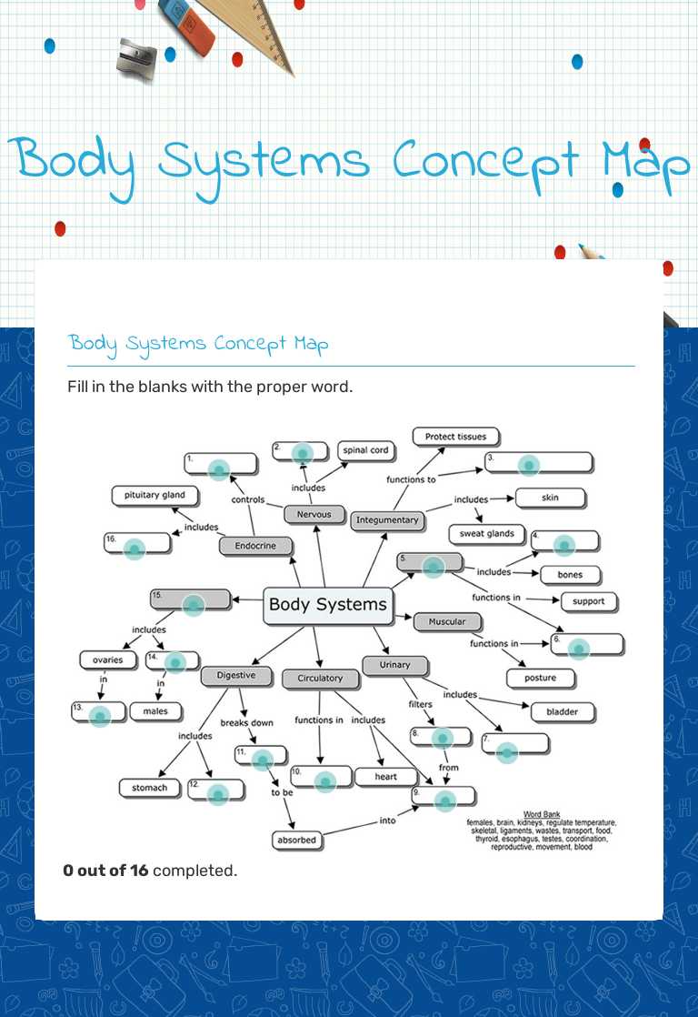 Body Systems Concept Map worksheet preview image