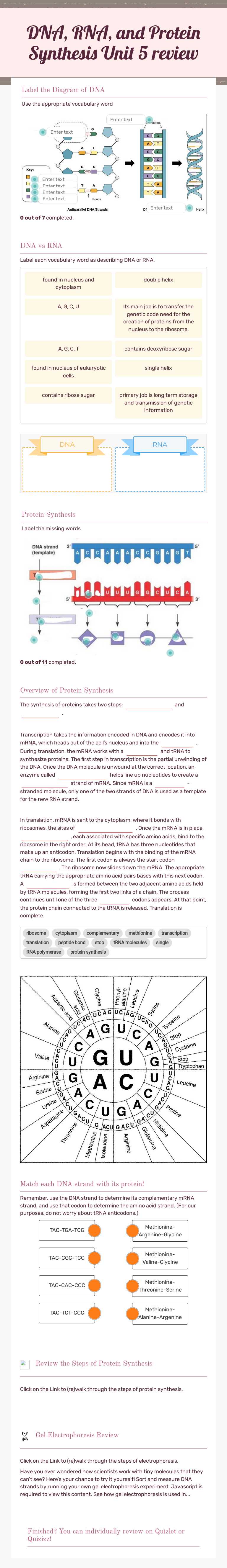 DNA, RNA, and Protein Synthesis  
 Unit 5 review worksheet preview image
